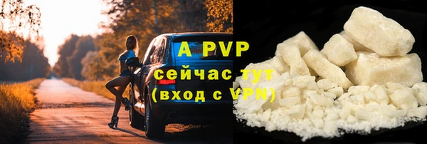 мяу мяу кристалл Корсаков