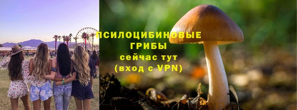 мяу мяу кристалл Корсаков