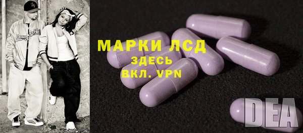 мяу мяу кристалл Корсаков