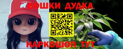 дмт Гатчина