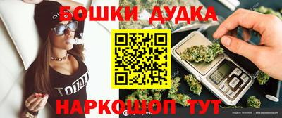 дмт Гатчина