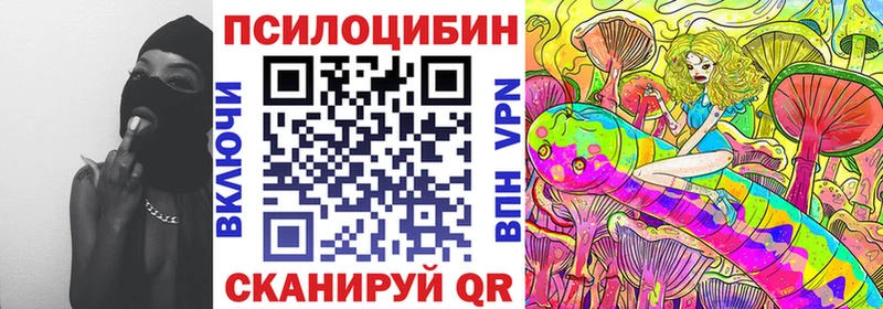 купить   Невинномысск  Псилоцибиновые грибы MAGIC MUSHROOMS 