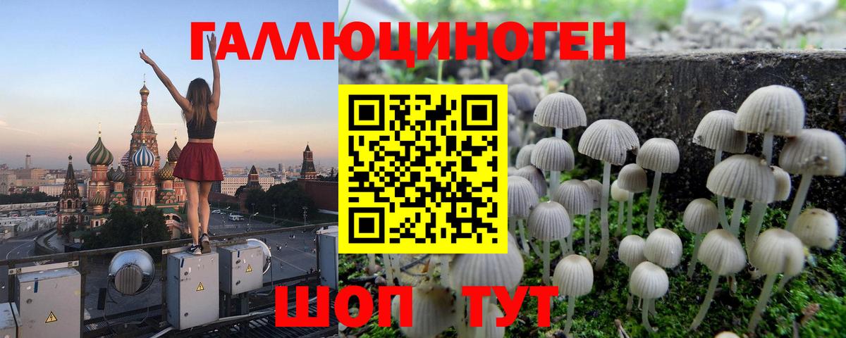 Невинномысск  Псилоцибиновые грибы Cubensis  Псилоцибиновые грибы GOLDEN TEACHER  Вход с VPN 